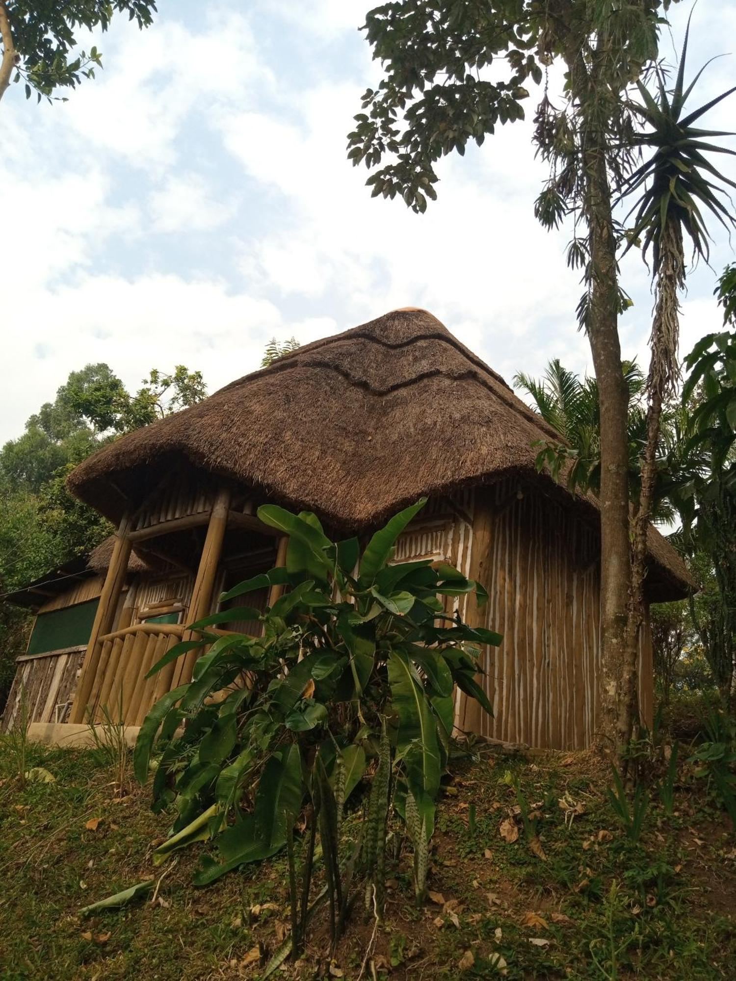Dave The Cave Eco Lodge And Cultural Campsite Rubirizi Экстерьер фото